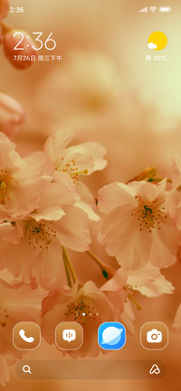 Cherry Blossom