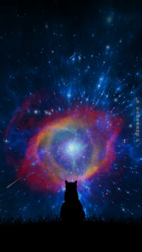 喵星人