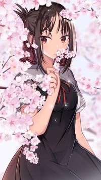 粉红色的回忆