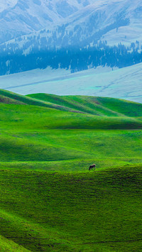 A thousand miles of green fields in the scroll 2