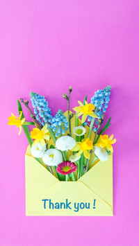 A Letter from Spring