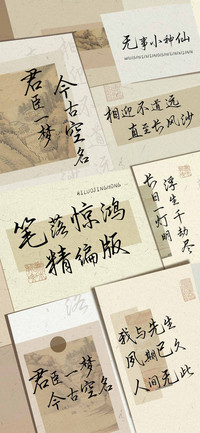 笔落惊鸿精编版