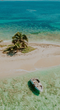 Nature HD - 2020-06-02T130220.651