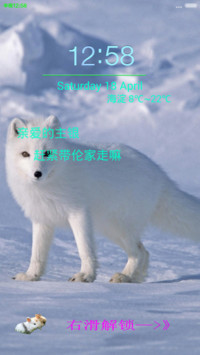萌宠大乐斗