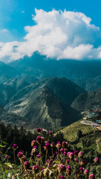 Vietnam 