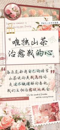 唯独山茶治愈我的心