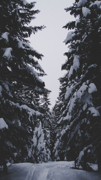 134003_1440x2560.jpg