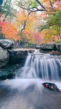 The misty rain over the nine streams is depicted in a