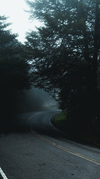 Screenshot_2020-01-20-01-30-13-727_com.miui.gallery