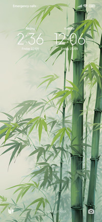 bamboo