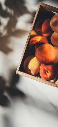 Fresh Fruits-PAIXIN