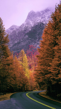 Drive through the road in the rocky mountains