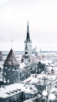133913_1440x2560.jpg