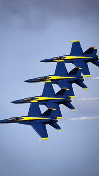 Aerial Predators (9)