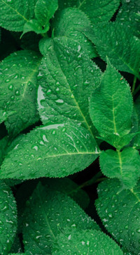 Droplets (22)