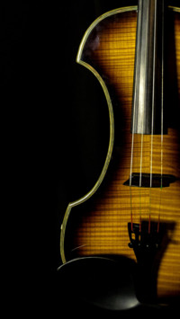 World Music Day (12)