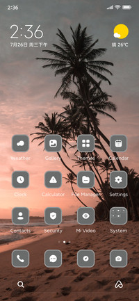 Cocunut Tree
