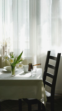 A bouquet of tulips on the table