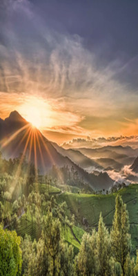 SunLight