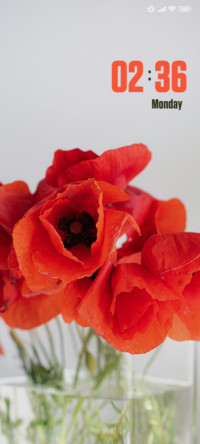 Poppy Rose