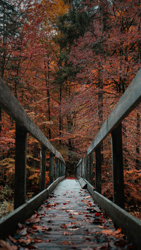 How wonderful is hiking