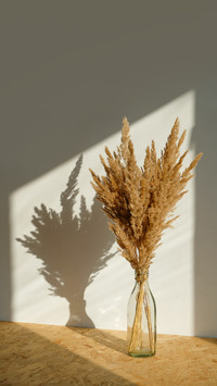 Still life of a bouquet of dried flowers in a glass bottle