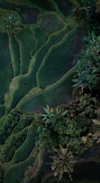 Little World (34)