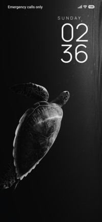 Deep Turtle