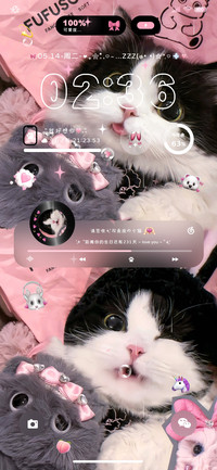 双模式换图小猫日记