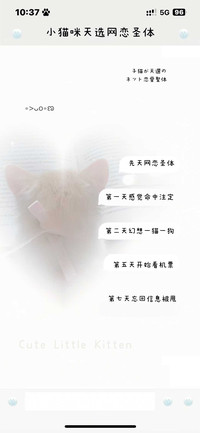 小猫咪天选网恋圣体