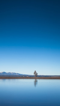 A small peninsula sticking out from Yellowstone Lake