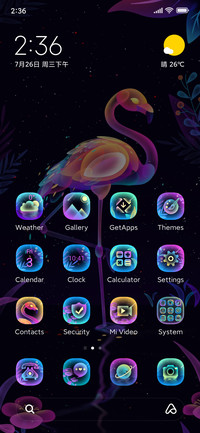 Dazzling Flamingo