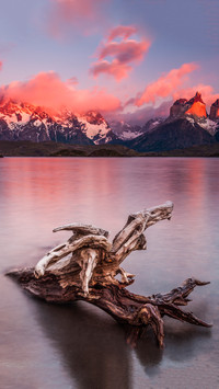 Chile bainai national park