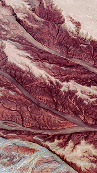 The winderoded landform of the earth tree