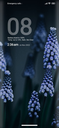 Flower_style