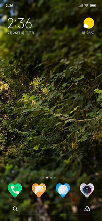 Bush_DWM2