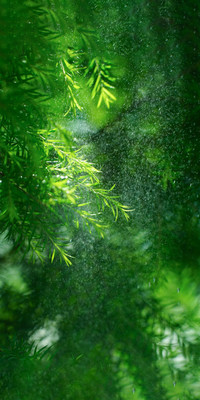 The Shape of Light (10).jpg