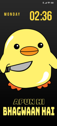 Memes duck