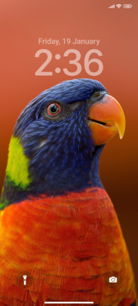 Close UP