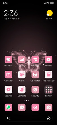 Shiny Butterfly