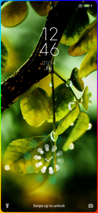 Rainy  Leaves