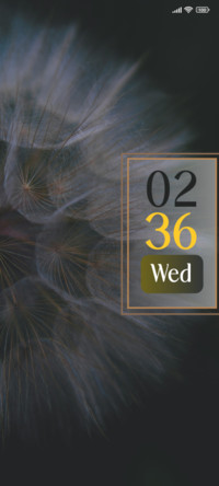 Dandelion