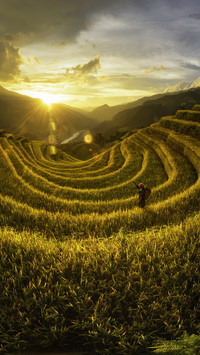 Photographer taking photos of terraced fields in vietnam