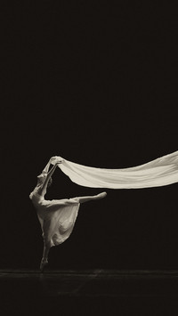 Elagant Dancing (6)