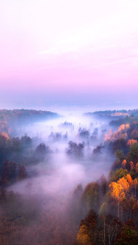 Aerial view of foggy forest at autumn sunrise in Irpen