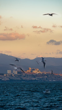 There must be a breeze blowing from erhai lake right