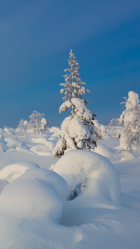 Polar scenery