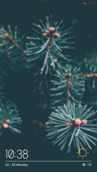 PINETREES