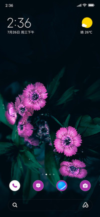 Garden Glow