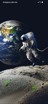 Astronaut